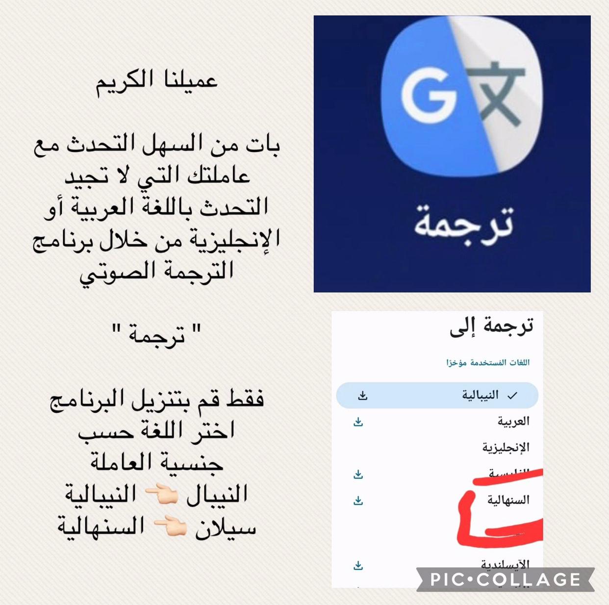 whatsapp image 2025 01 15 at 10.31.26 am 3.jpeg